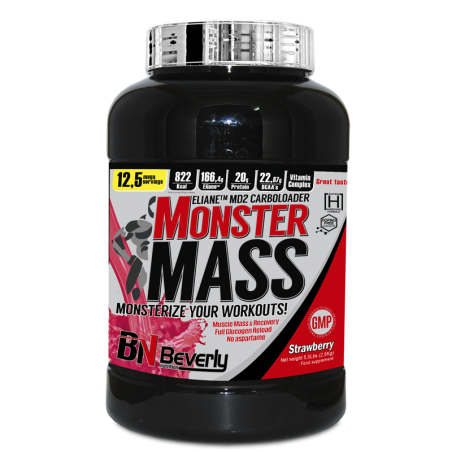 Monster Mass 2,5Kg